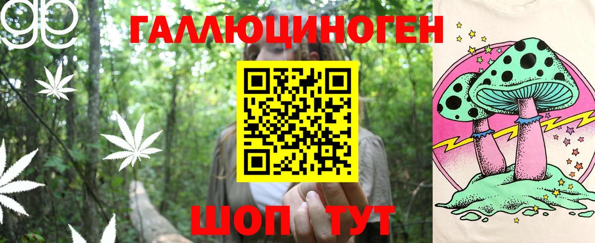 Псилоцибиновые грибы Psilocybe  Вход с VPN  Галлюциногенные грибы MAGIC MUSHROOMS  Лиски 